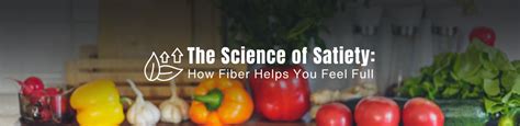 The Science of Satiety: How Prebiotic Fiber Helps You Feel Full – JUST BETTER BRANDS
