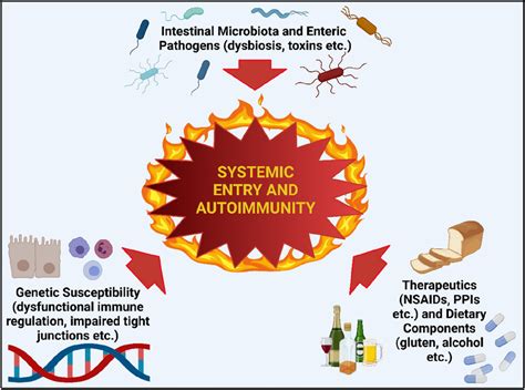 How does the male-specific hormone profile influence the development and progression of autoimmune conditions in men compared to women?