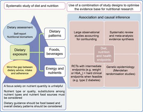 Dietary fats: Which types optimize testosterone & performance?