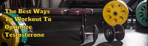 Optimize male testosterone: what lifestyle changes boost peak performance?
