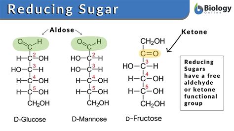 Reducing sugar - Definition and Examples - Biology Online Dictionary
