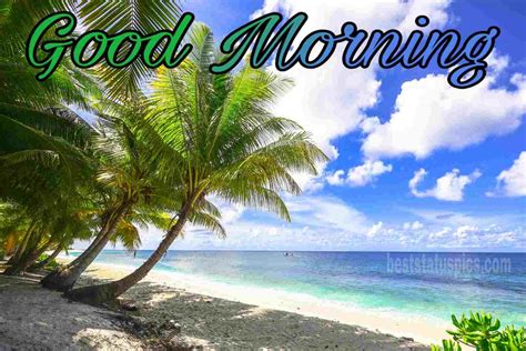 What morning workout optimizes energy and focus for peak daily performance?