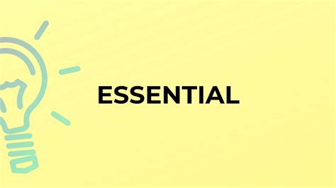 What essential EDC gear optimizes daily productivity & readiness for peak performance?