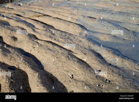 Undulating ground hi-res stock photography and images - Alamy
