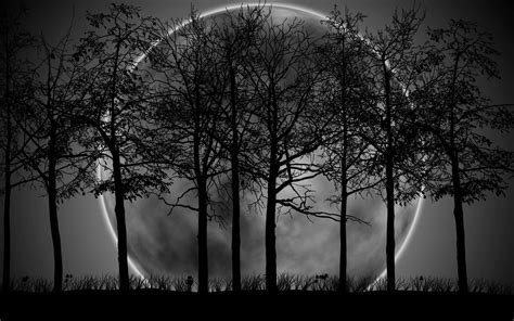 Dark Forest Backgrounds - Wallpaper Cave