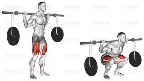 Barbell Squat (with Hanging Band Technique): Exercise Guide, Techniques ...