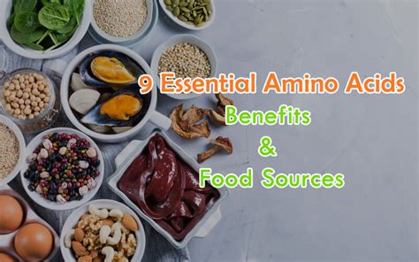 9 Essential Amino Acids: Benefits &amp; Food Sources - CookingEggs