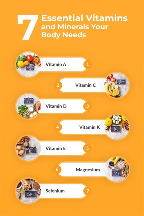 7 Essential Vitamins and Minerals Your Body Needs – TURNER New Zealand