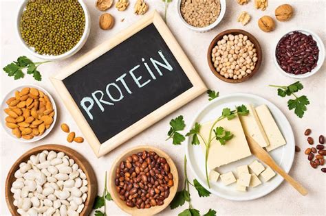Protein Timing and Type: Unlocking the Power of Quality and Quantity