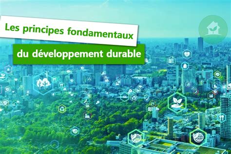 Comprendre le Développement Durable : Les Clés Pour Agir