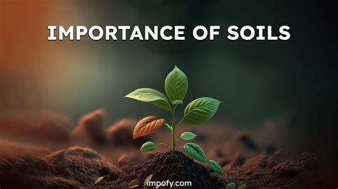 Importance of Soils - Impofy