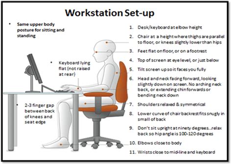 Workstation Ergonomic Set Up