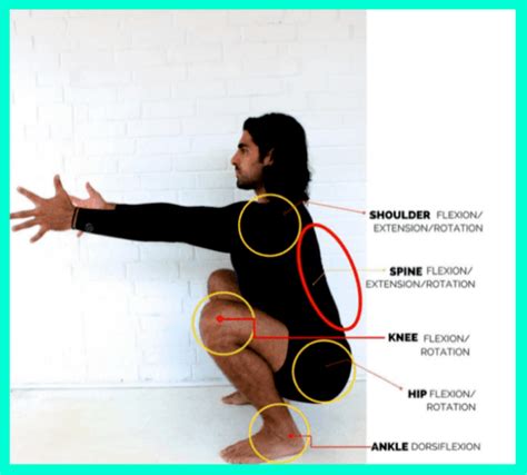 Squat Form: How Low Should You Squat, Really?