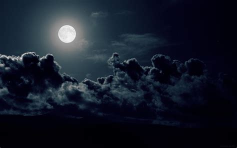 The Dark Night Of The Soul – Fractal Panda