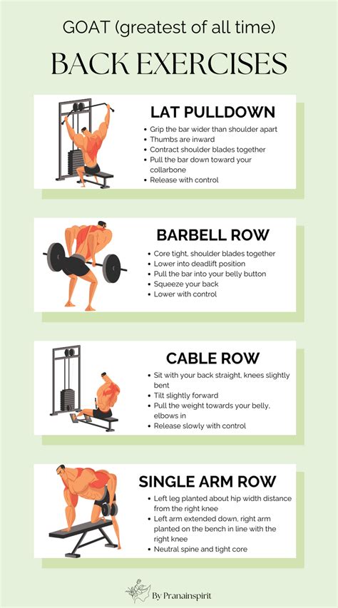 BACK EXERCISES in 2025 | Workout gym routine, Gym workout plan for ...