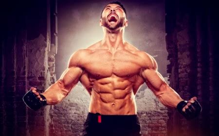 What macros optimize male testosterone and muscle for peak performance?