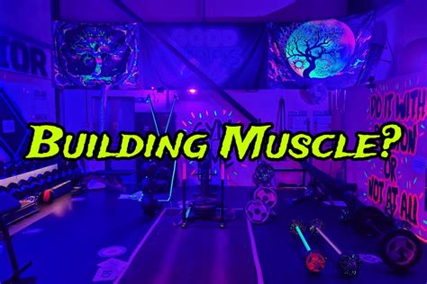 Axe - What is the optimal muscle building strategy? Training: An ...
