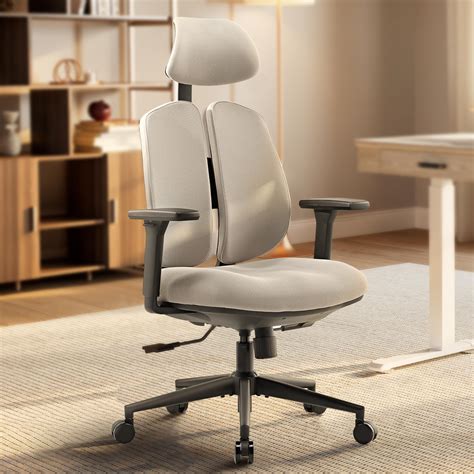 Ergonomic Office Chair with adjustable dual lumbar support | Eureka ...