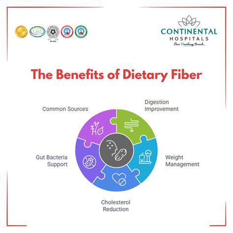 Understanding the Importance of Dietary Fiber for Gut Health