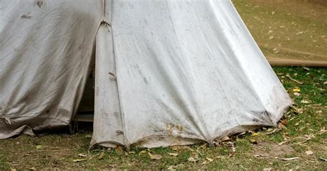 How to Wash a Tent - Our Step-by-Step Guide - Travel Savvy Guide