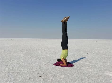 A holistic approach to well-being/ fitness | Upwork