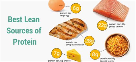 Best Lean Sources of Protein
