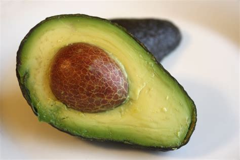 Avocado Photography