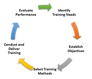 Training and Development - Definition, Importance, Process &amp; Example ...