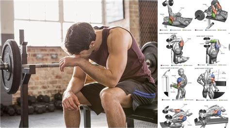 Are You A Beginner Or Just Want To Improve Your Workout? Incorporate ...