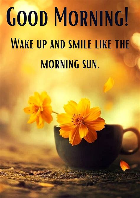 Good Morning Sunshine Wallpapers