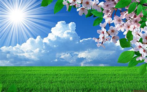 Natural Background Images ·① WallpaperTag