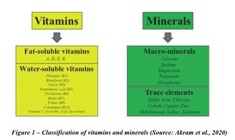 Your Guide to Essential Micronutrients (Vitamins and Minerals) – Your ...