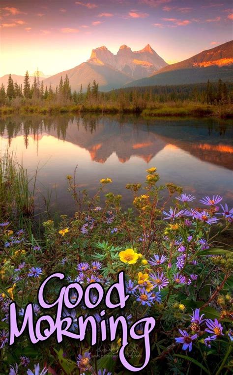Pin by Lara on Morning 🌞 | Good morning friends images, Good morning ...