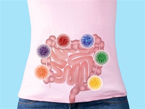 How to Starve Bad Gut Bacteria | The IBS &amp; Gut Health Clinic