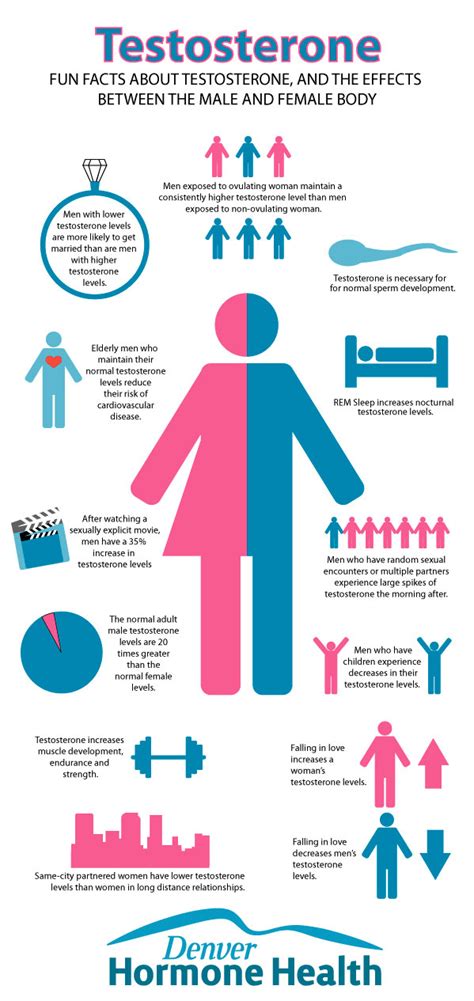 Testosterone &amp; Why It's Essential To Your Health | Denver Hormone Health