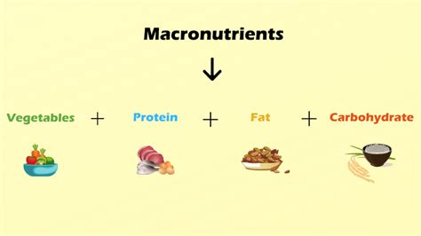 What are “Macronutrients”? - Olympus Fitness