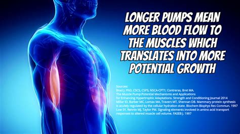 Is it better to do full-body workouts or split muscle groups throughout the week?