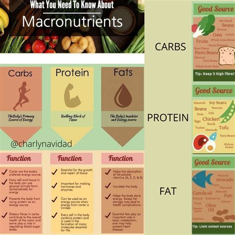 What are Macronutrients? | Macronutrients, Carbs protein, Benefits of ...