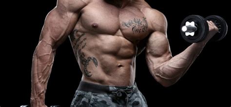 What diet optimizes men’s testosterone for peak energy & strength?
