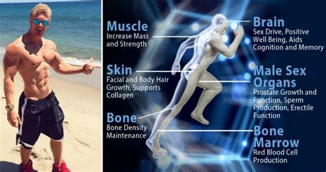 5 Lifestyle Changes You Need to Make to Boost Testosterone | Fitness ...