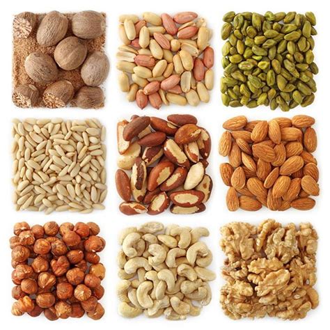 The “Right” Way to Eat Nuts, Seeds, Grains and Legumes | Leah Honiball