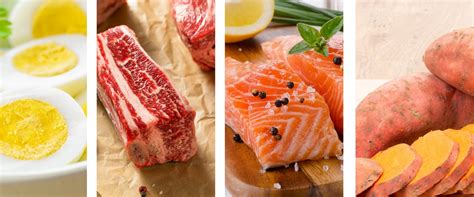 the-4-best-nutrient-dense-foods-for-your-diet-392983.jpg?v=1676595989