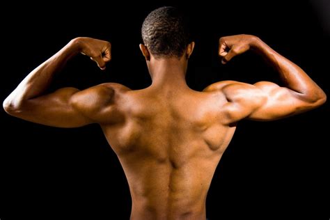 Want to build more muscle? Keeping a healthy gut is crucial, study ...