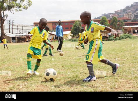 Training and skills development hi-res stock photography and images - Alamy