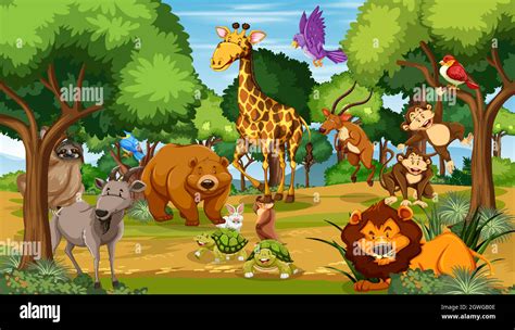 Different forest animals Stock Vector Images - Alamy