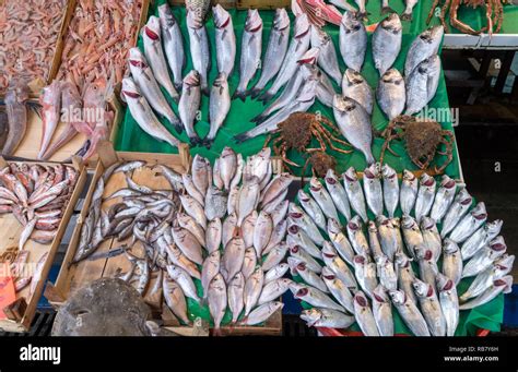 Various fish on store hi-res stock photography and images - Alamy