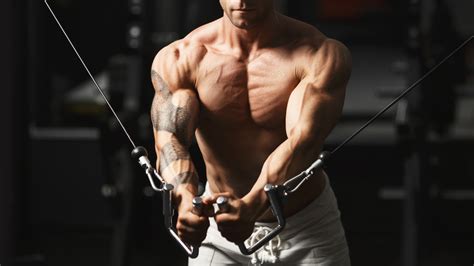 Try These 20-Minute Muscle-Building Workouts to Make Gains at the Speed ...