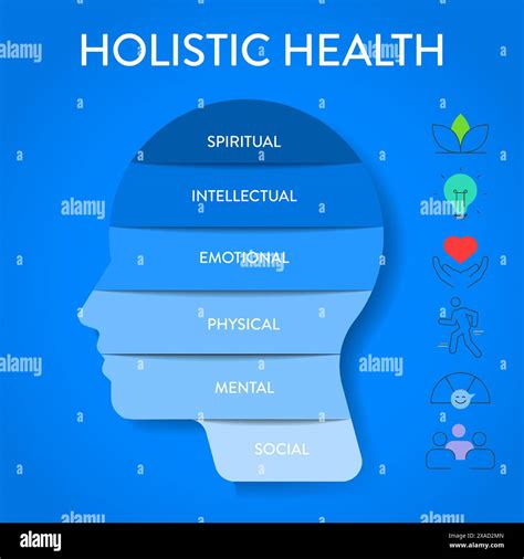 Holistic Health framework infographic diagram chart illustration banner ...