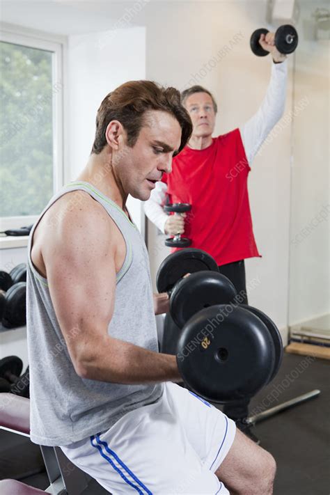 Man lifting weights in gym - Stock Image - F005/8155 - Science Photo ...