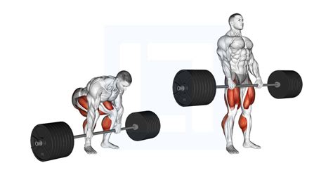 Strongman Deadlift - Guide, Benefits, and Form